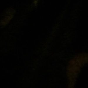 Meet your Posher, Anahi